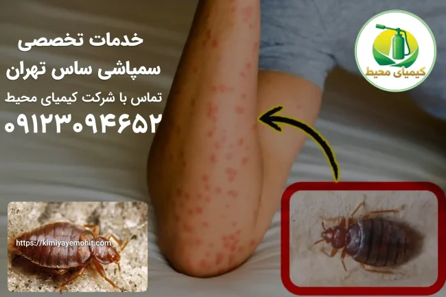 سمپاشی ساس در تهران