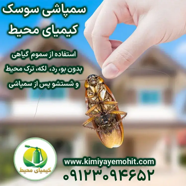 سمپاشی سوسک در تهران