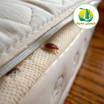 راهنمای کامل سمپاشی ساس