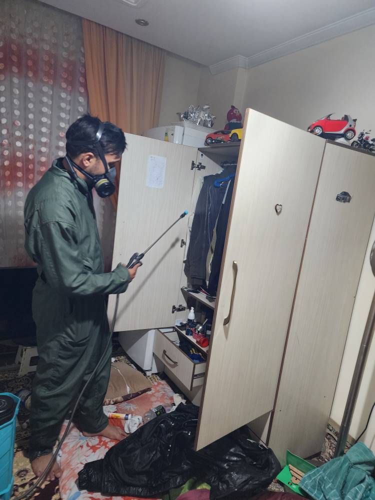 17 نکته جلوگیری از ورود ساس به منزل