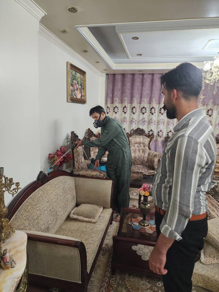 بهترین شرکت سمپاشی ساس در تهران