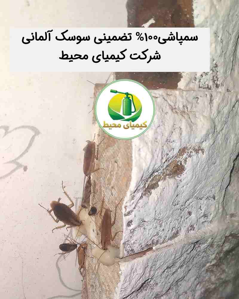 سمپاشی سوسک آشپزخانه