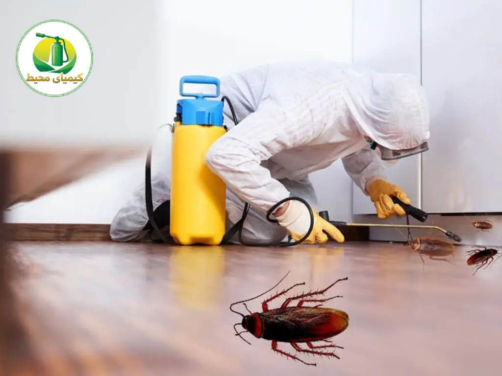 ریشه کنی سوسک کابینتی و سوسک ریز با گارانتی | سمپاشی کیمیای محیط