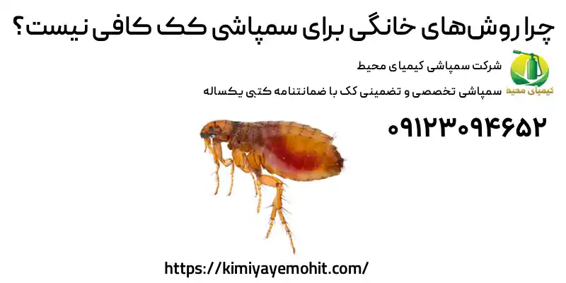 روش های خانگی سمپاشی کک