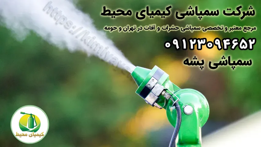 سمپاشی پشه
