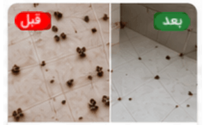 سمپاشی سوسک در کفپوش