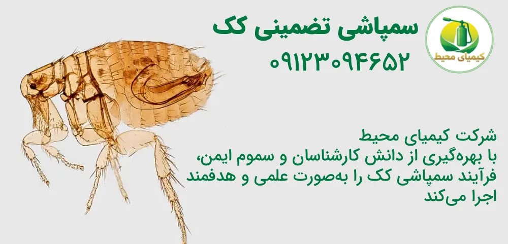 سمپاشی کک
