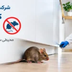 سمپاشی موش