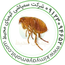 مقالات