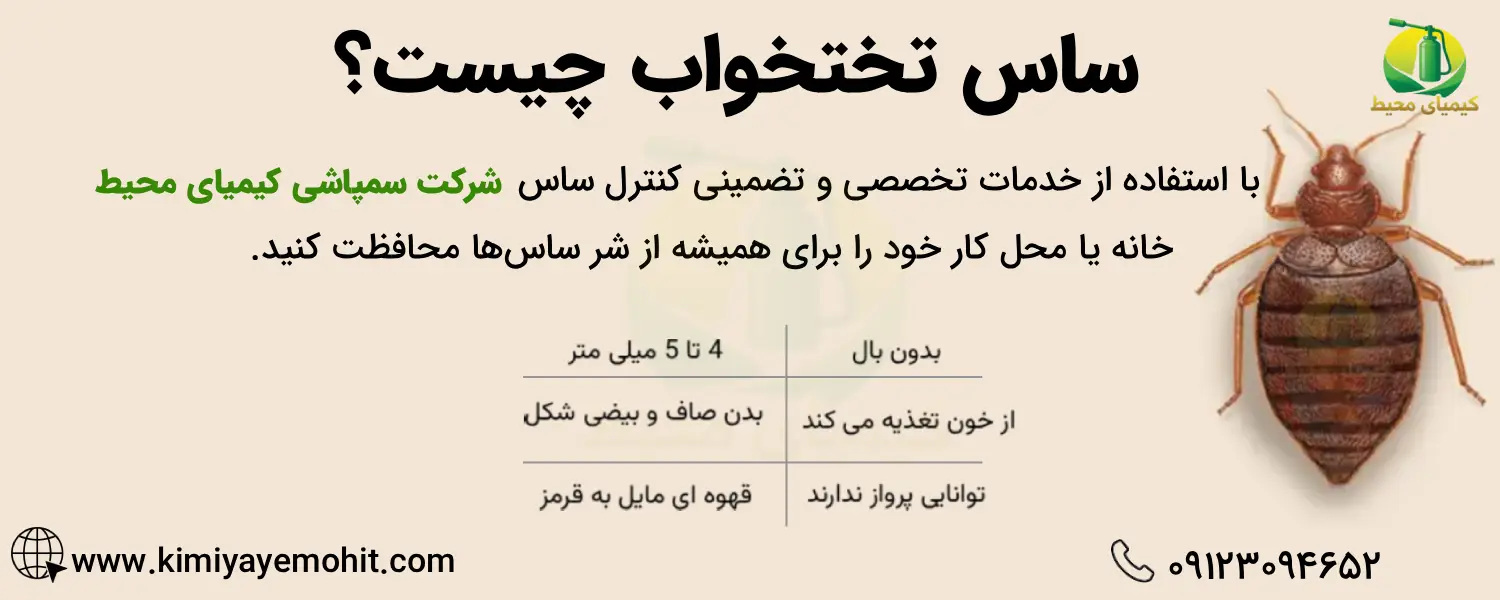 ساس تختخواب چیست؟