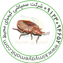 سمپاشی ساس