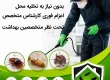 بهترین زمان سمپاشی