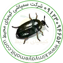 سمپاشی سوسک فرش