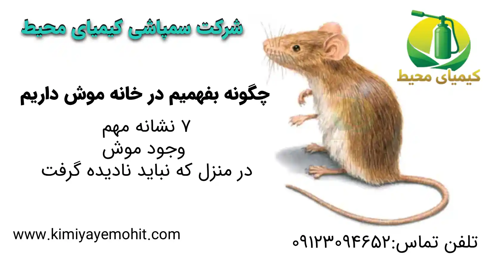 نشانه‌های وجود موش در خانه